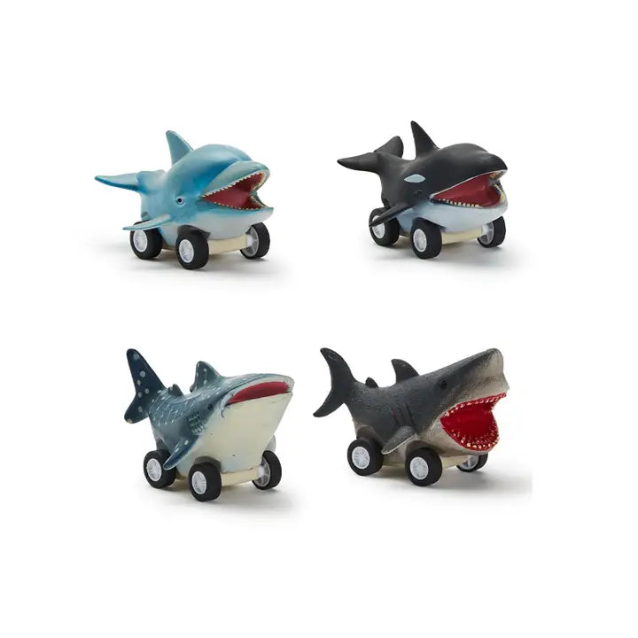 Fish Reef Racers Pull Back Toys