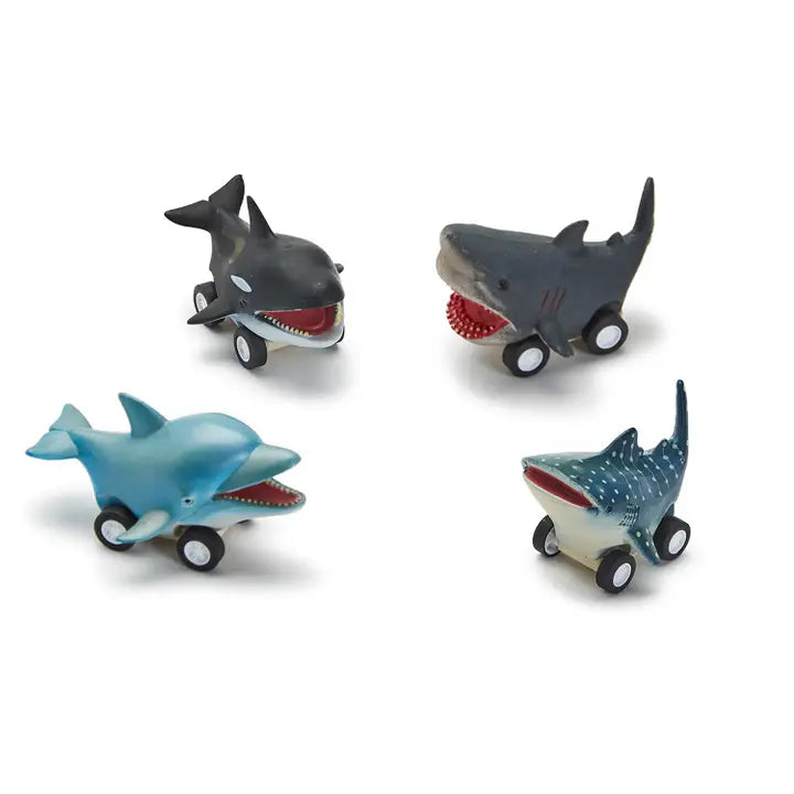 Fish Reef Racers Pull Back Toys