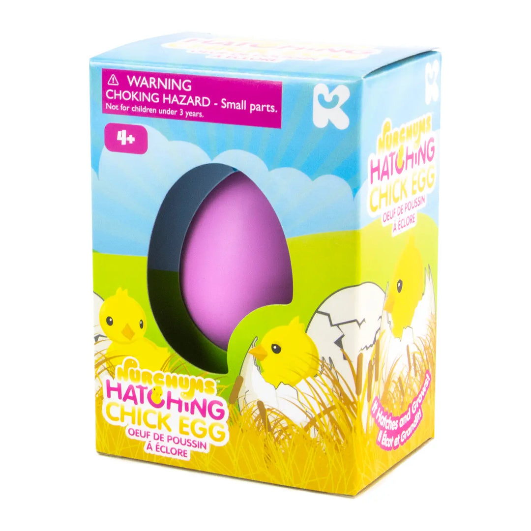 Small Chick Hatching Egg