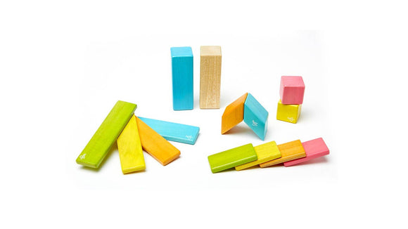 14 Piece Magnetic Wooden Block Set-Tints
