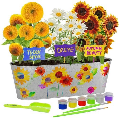 Paint and Plant Sunflower Growing Kit