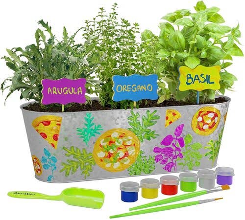 Paint and Plant Pizza Herb Growing Kit