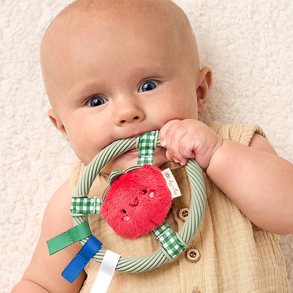 *NEW* Itzy Ring Pal™ - Teething Ring with Plush Character: Pink Kitty