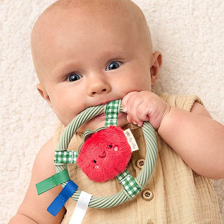 *NEW* Itzy Ring Pal™ - Teething Ring with Plush Character: Pink Kitty