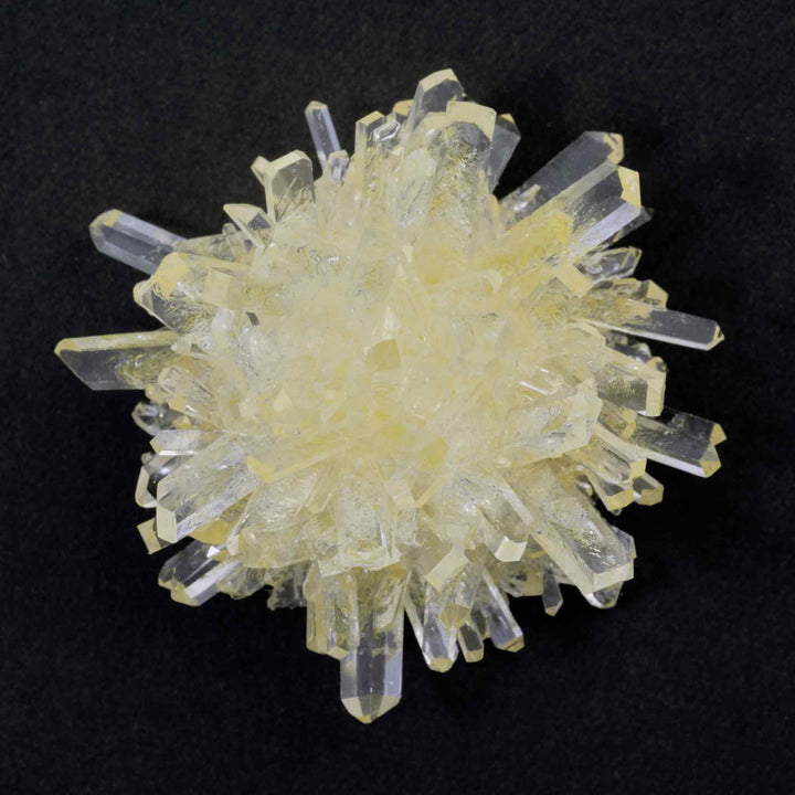 Crystal Grow and Explore