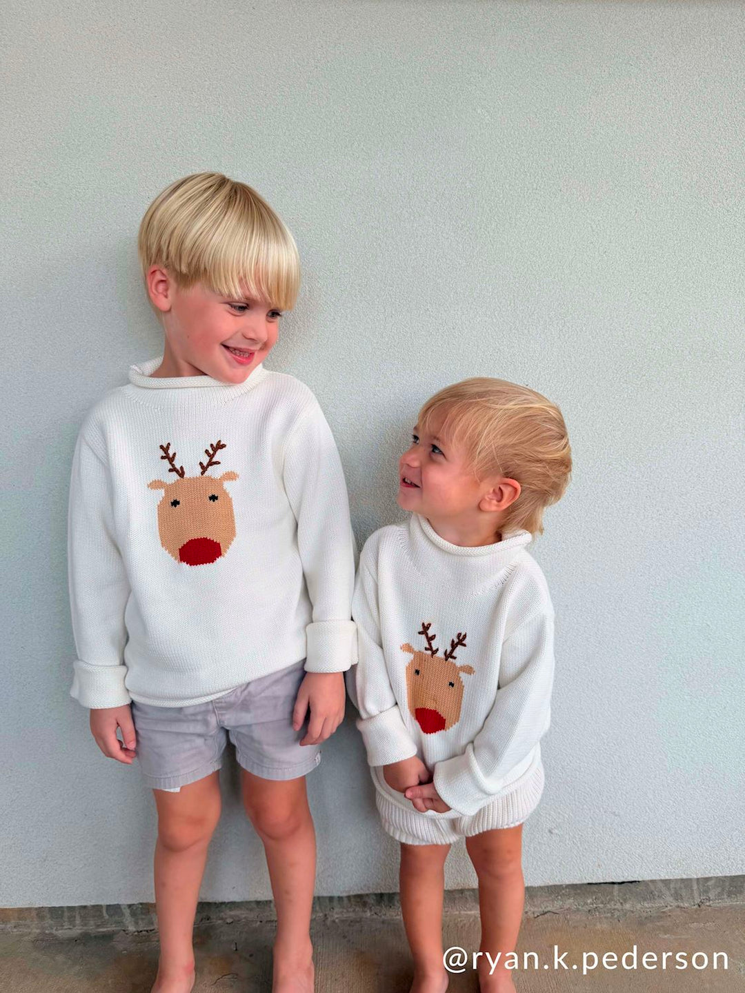 Reindeer Roll Neck Sweater