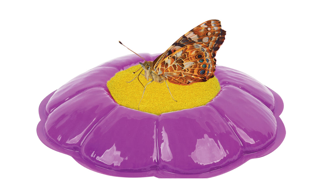 NEW! BUTTERFLY FARM
