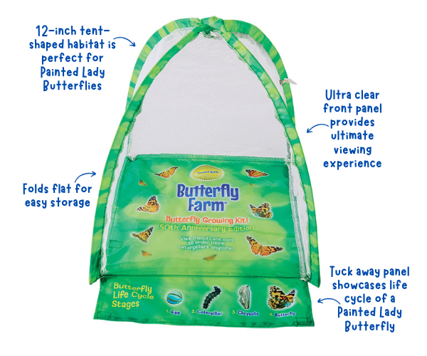 NEW! BUTTERFLY FARM