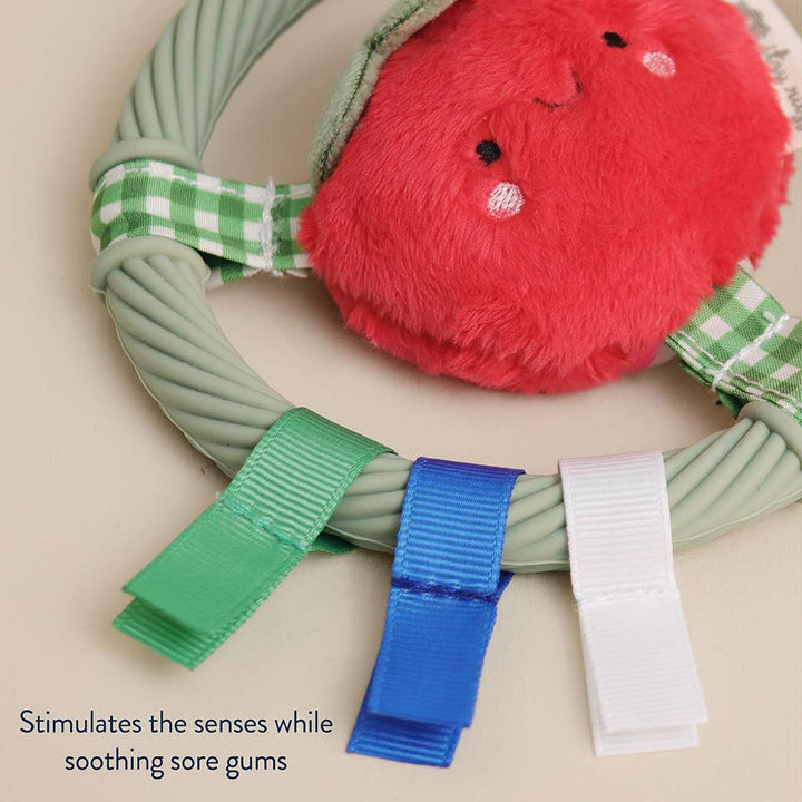 *NEW* Itzy Ring Pal™ - Teething Ring with Plush Character: Pink Kitty