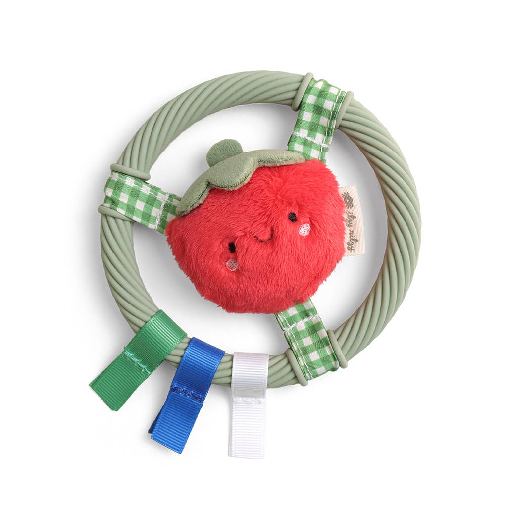 *NEW* Itzy Ring Pal™ - Teething Ring with Plush Character: Pink Kitty