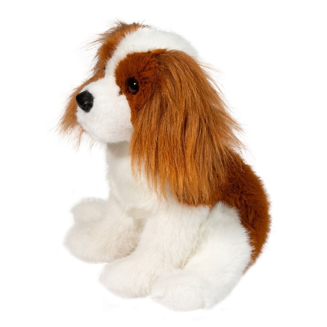 Kingsley Cavalier King Charles Spaniel