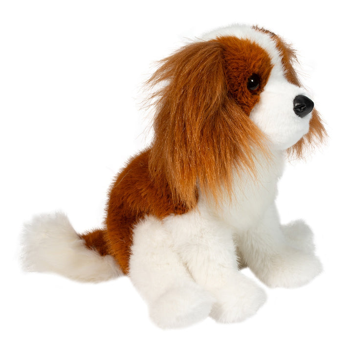 Kingsley Cavalier King Charles Spaniel