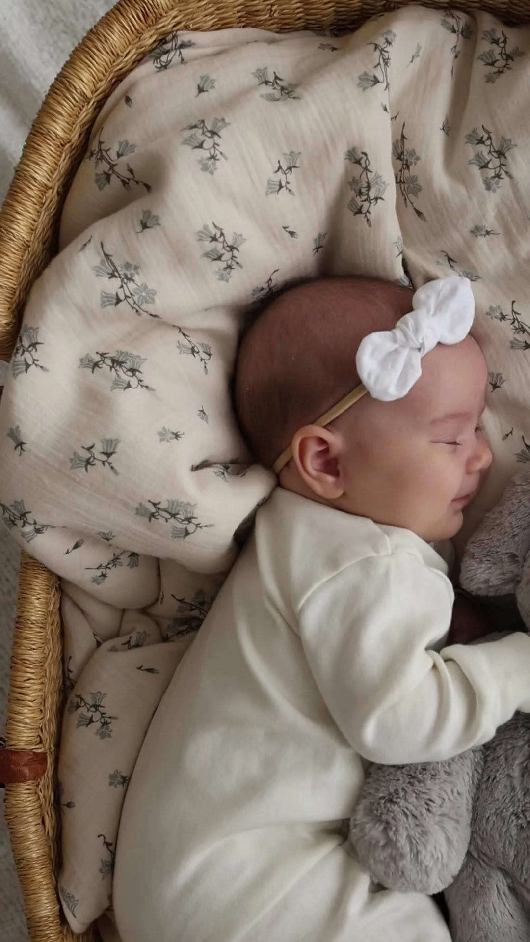 Plush - Olive the Elephant - Snuggle Bunnies