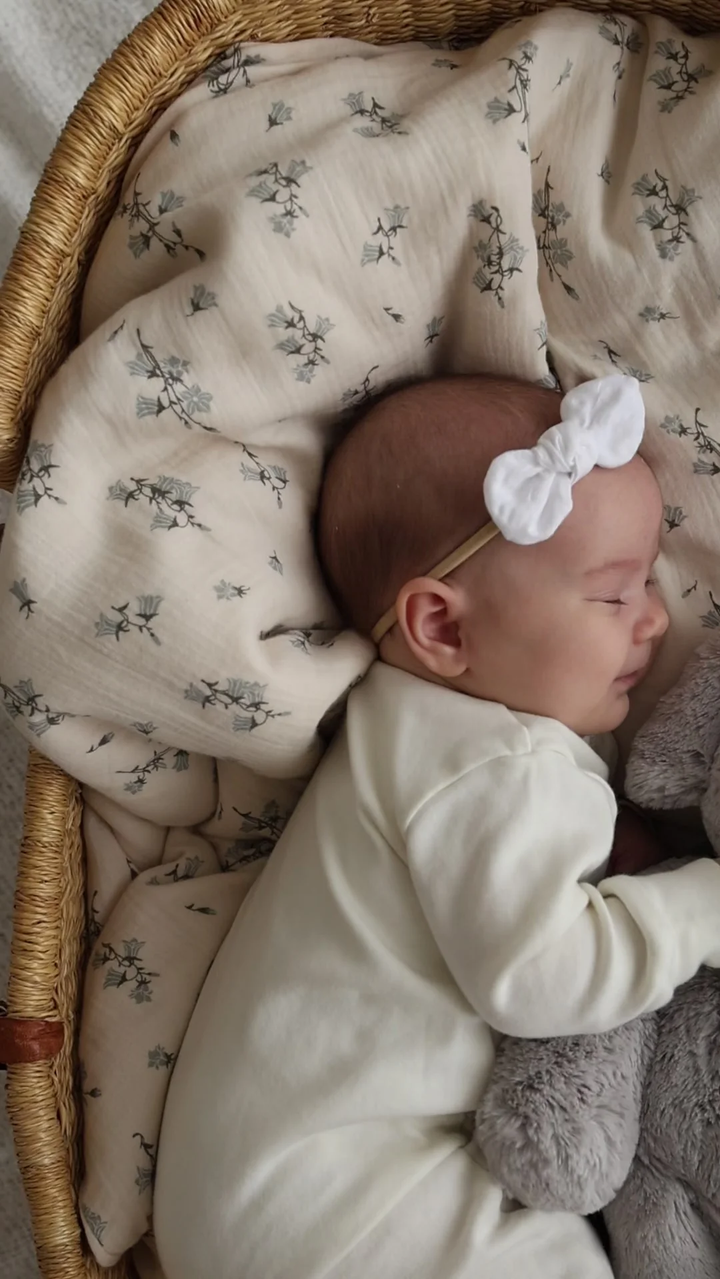 Plush - Olive the Elephant - Snuggle Bunnies