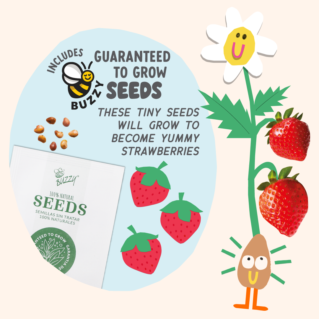 Paint & Grow- Strawberry