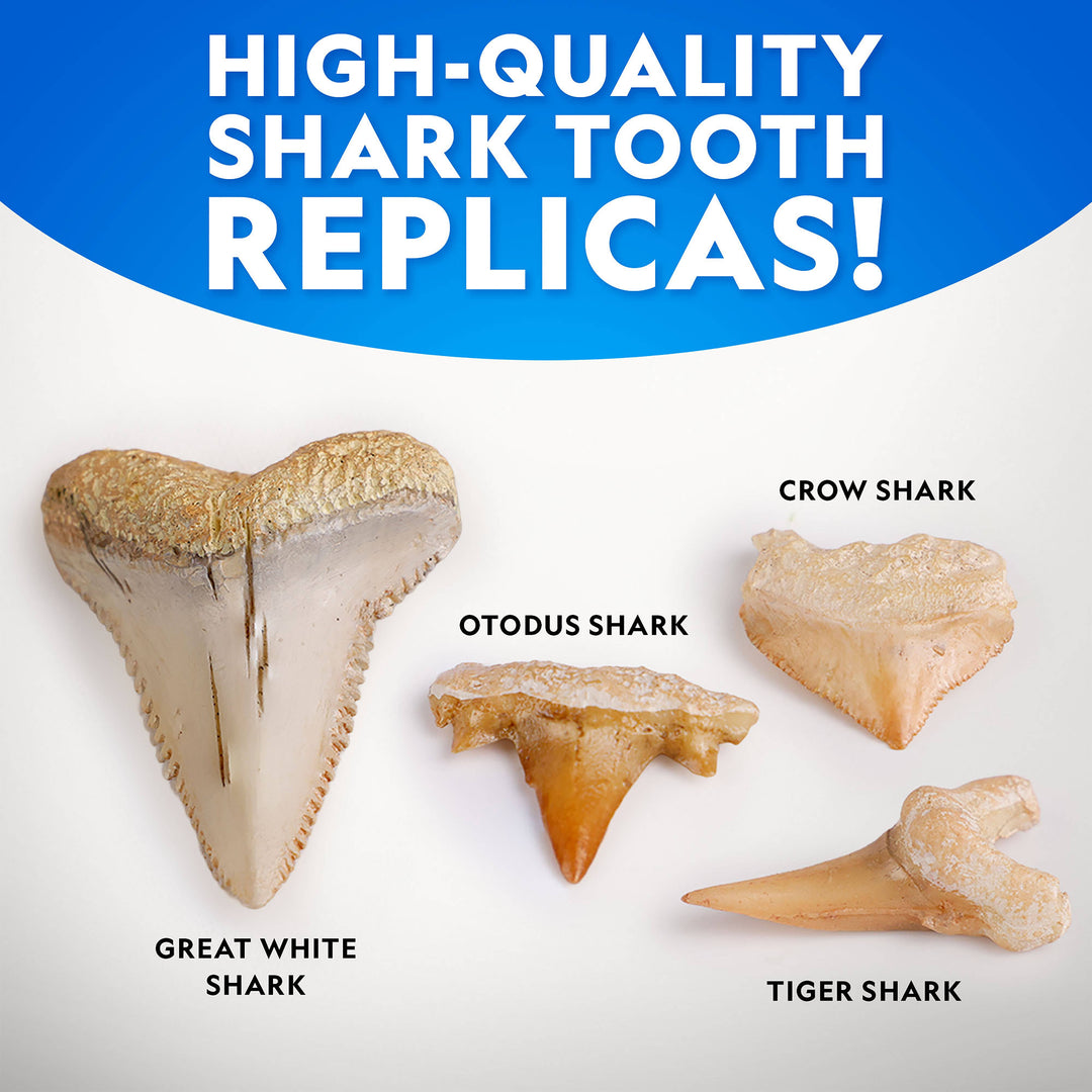 National Geographic Replica Shark Tooth Dig Kit