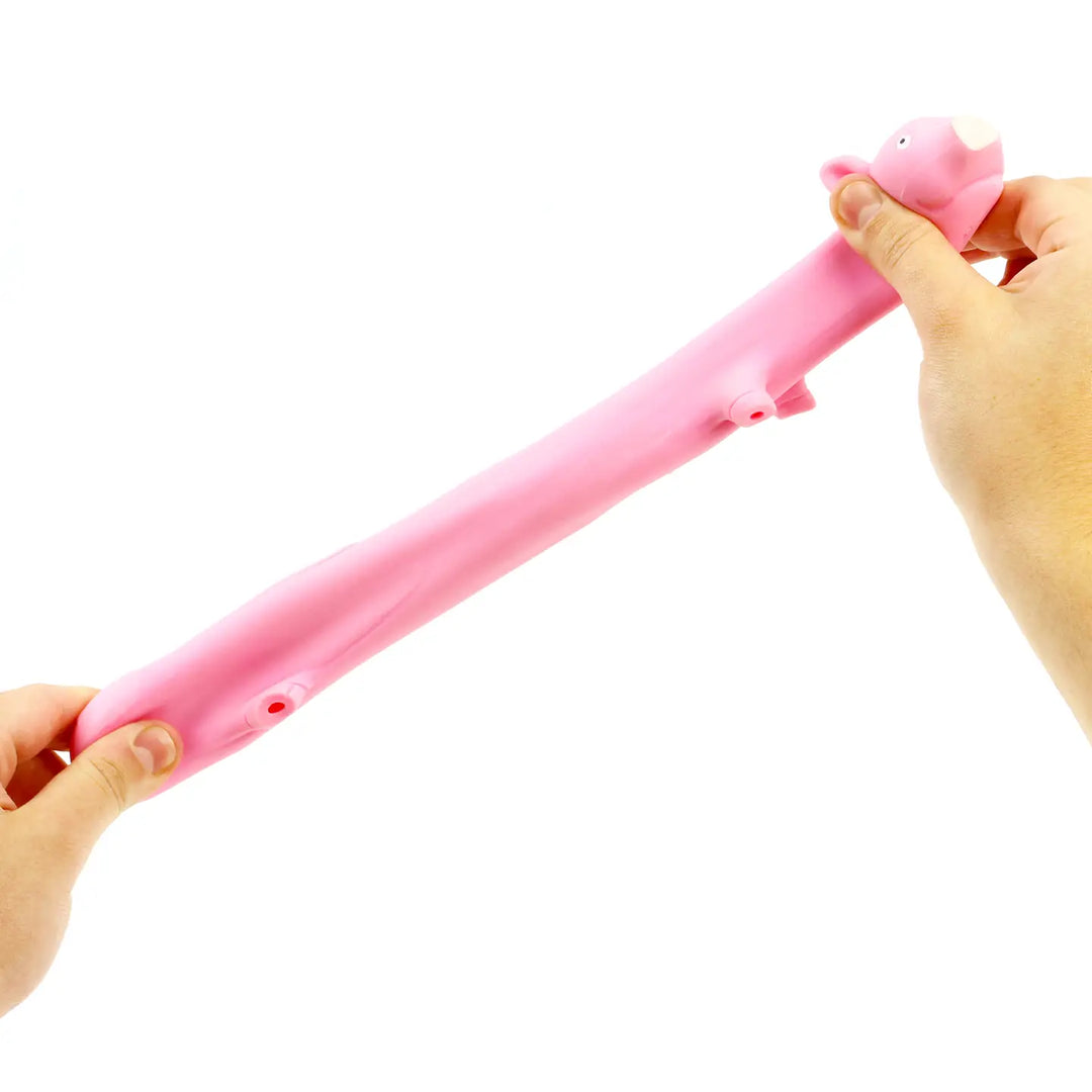 Stretchy Pig Sensory Toy