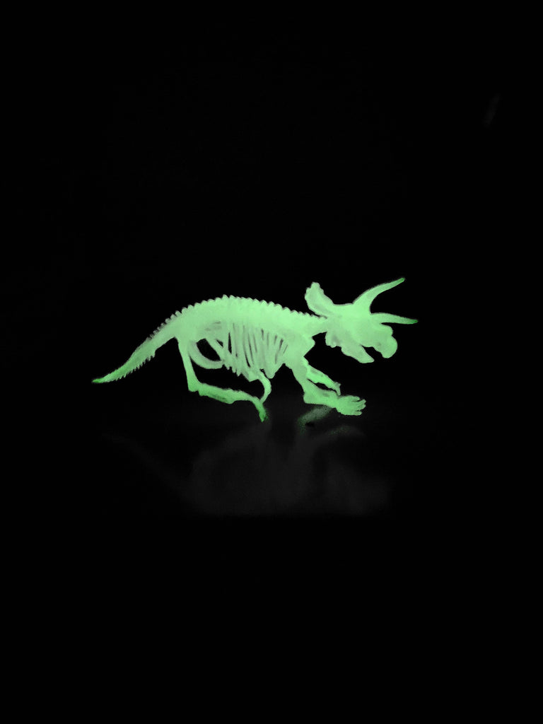 Glow In the Dark Dinosaur Skeleton Models