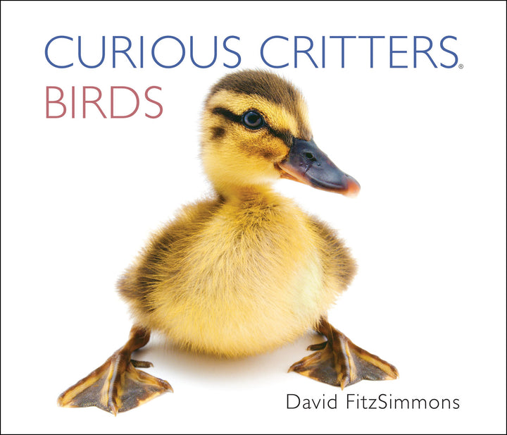 Curious Critters Birds-Signed Copy
