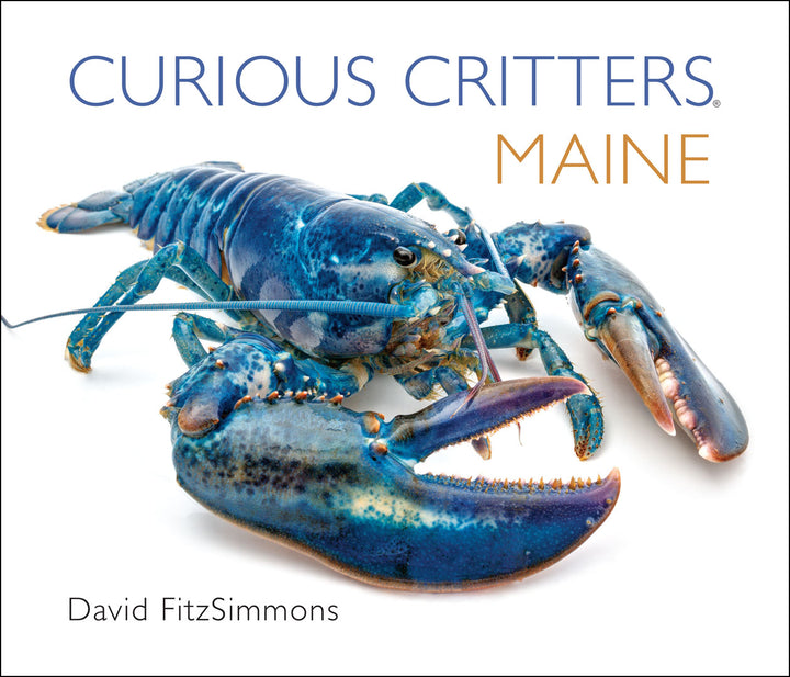 Curious Critters Maine-Signed Copy