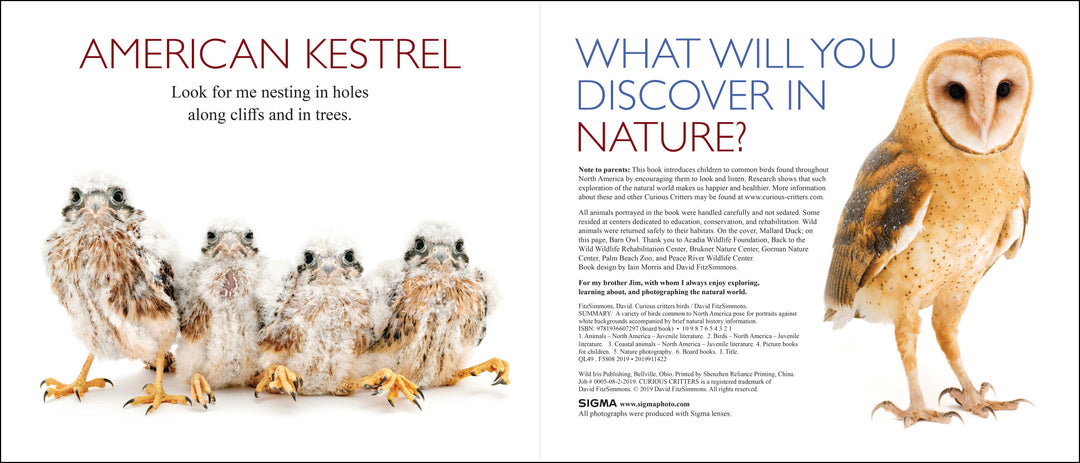 Curious Critters Birds-Signed Copy