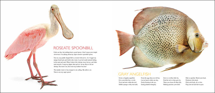 Curious Critters Marine-Signed Copy