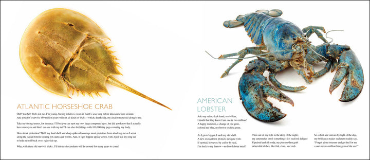 Curious Critters Marine-Signed Copy