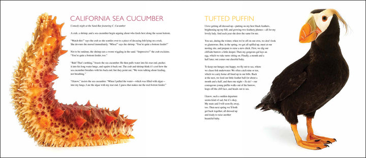 Curious Critters Marine-Signed Copy