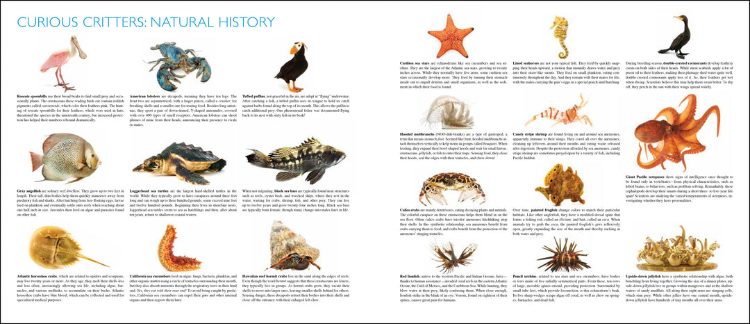 Curious Critters Marine-Signed Copy