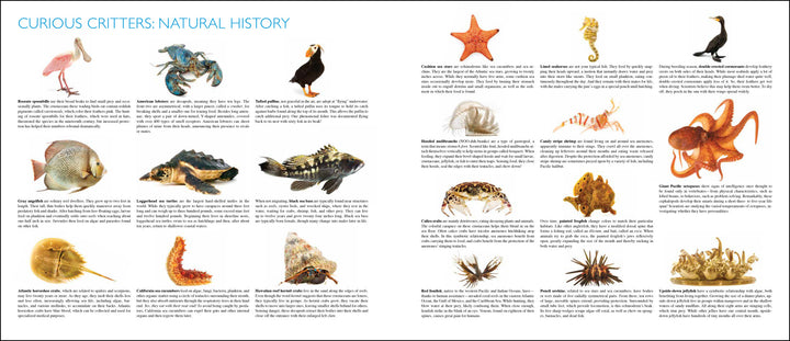 Curious Critters Marine-Signed Copy