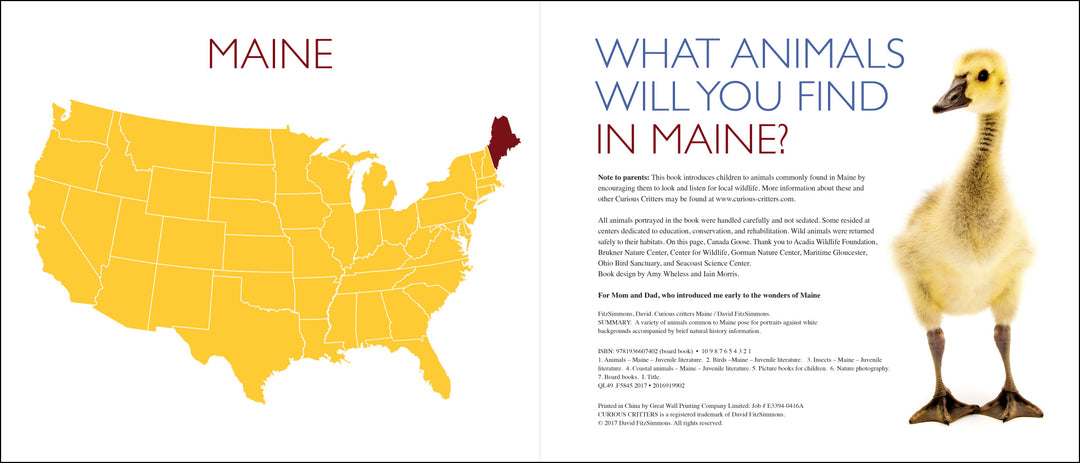 Curious Critters Maine-Signed Copy