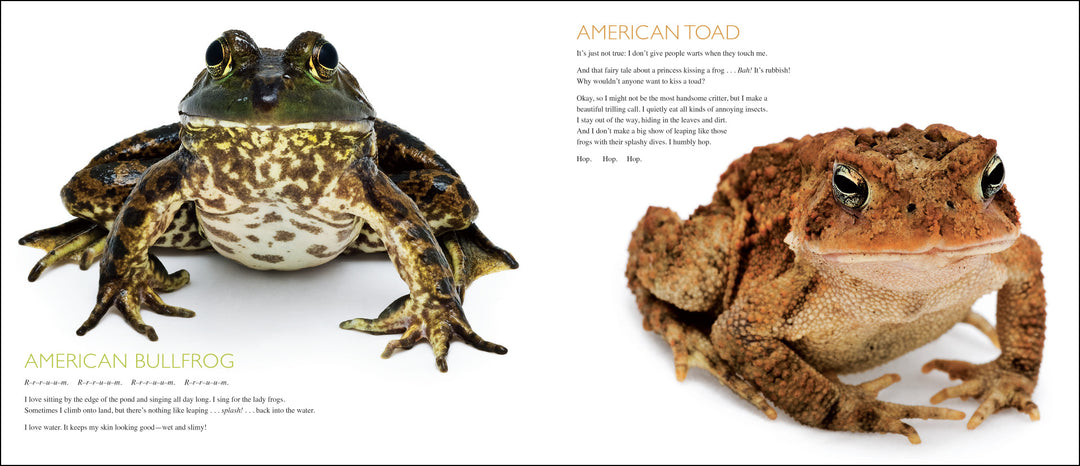 Curious Critters Volume One-Signed Copy