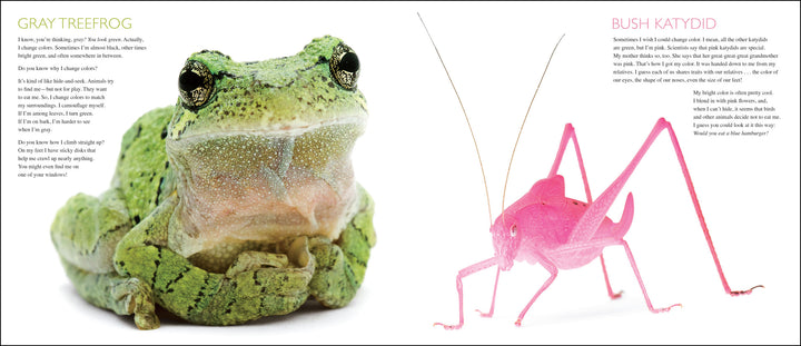 Curious Critters Volume One-Signed Copy