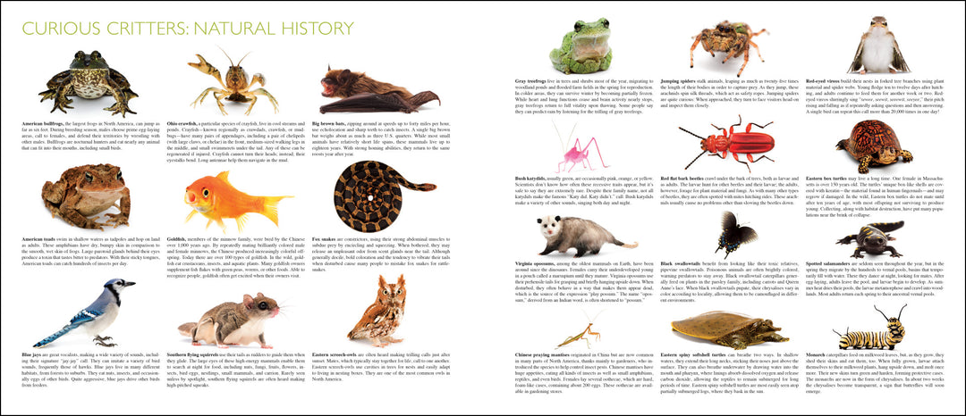 Curious Critters Volume One-Signed Copy