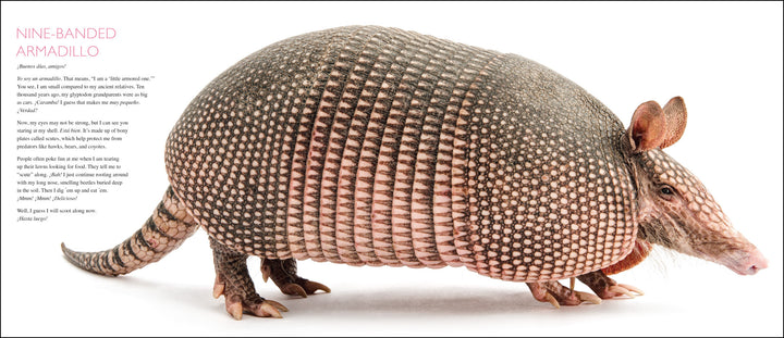 Curious Critters Backyard Animals-Signed Copy