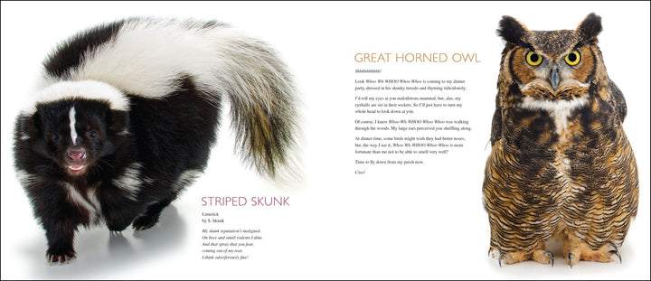 Curious Critters Backyard Animals-Signed Copy