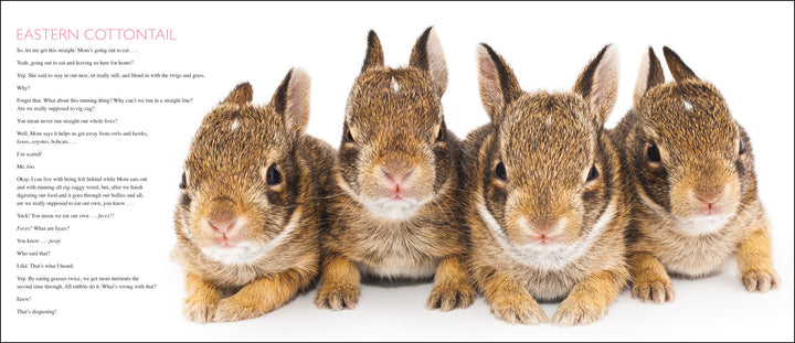 Curious Critters Backyard Animals-Signed Copy