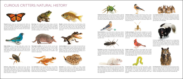 Curious Critters Backyard Animals-Signed Copy