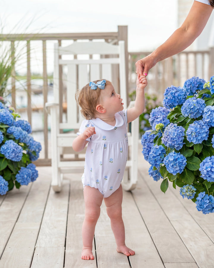 Hydrangeas in Bloom Pima Bubble