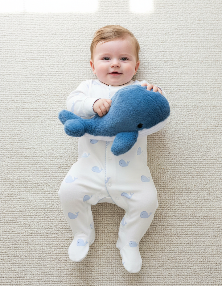 Whale Watch Pima Footed Romper-Chatham Bars Blue