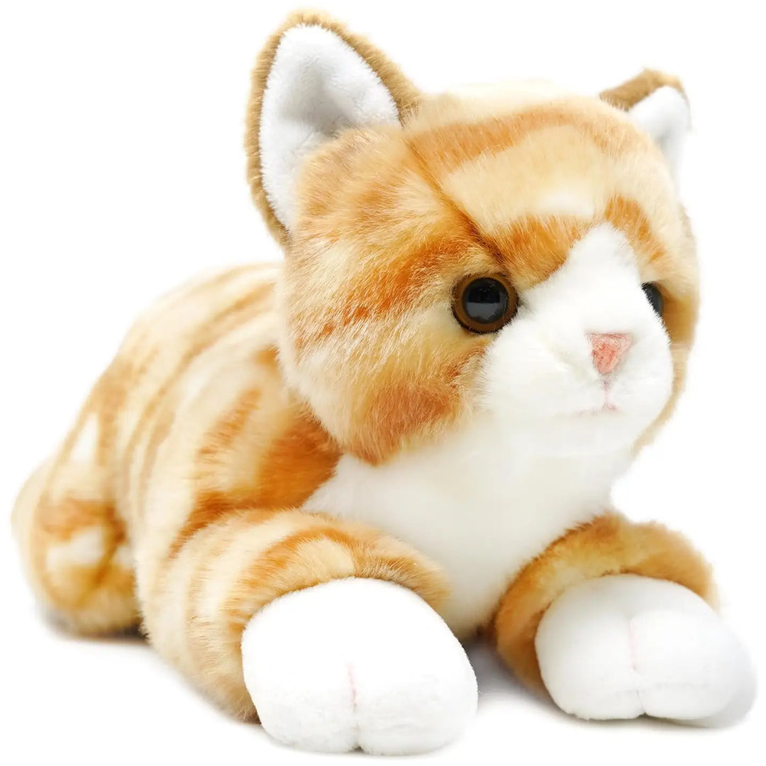 Tamarr the Orange Tabby Cat