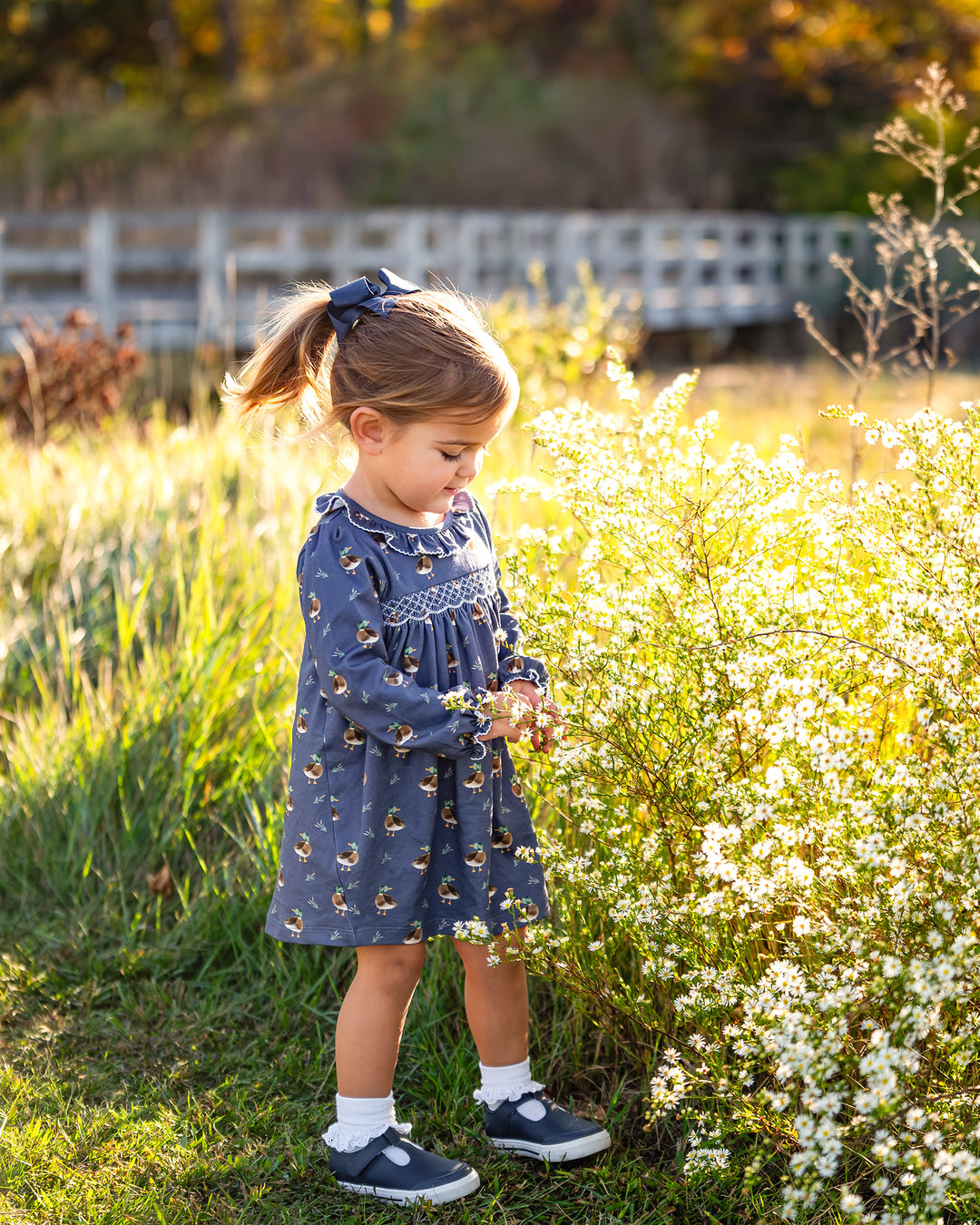 Madaket Mallards Smocked Dress