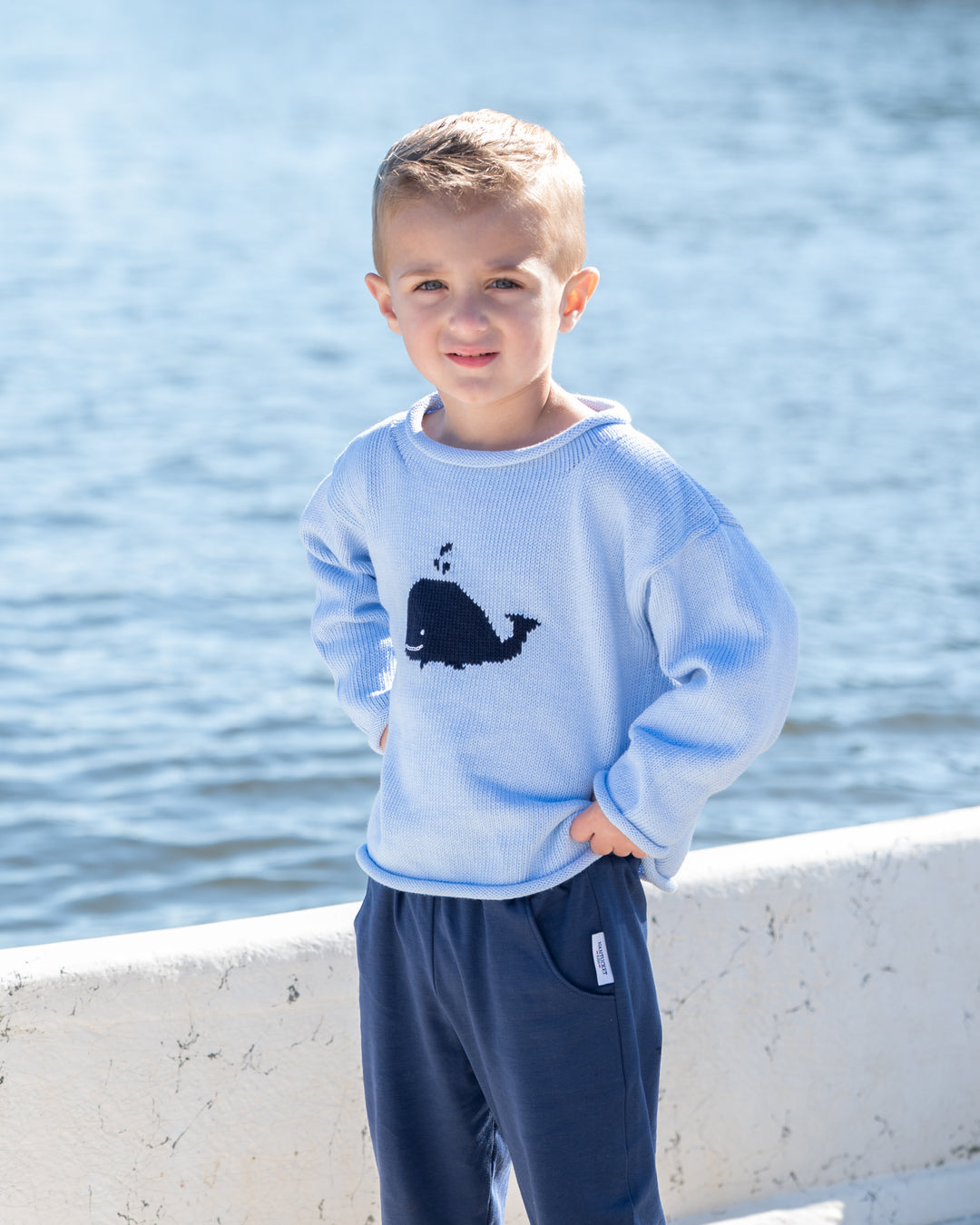 Whale Watch Roll Neck Sweater-Blue