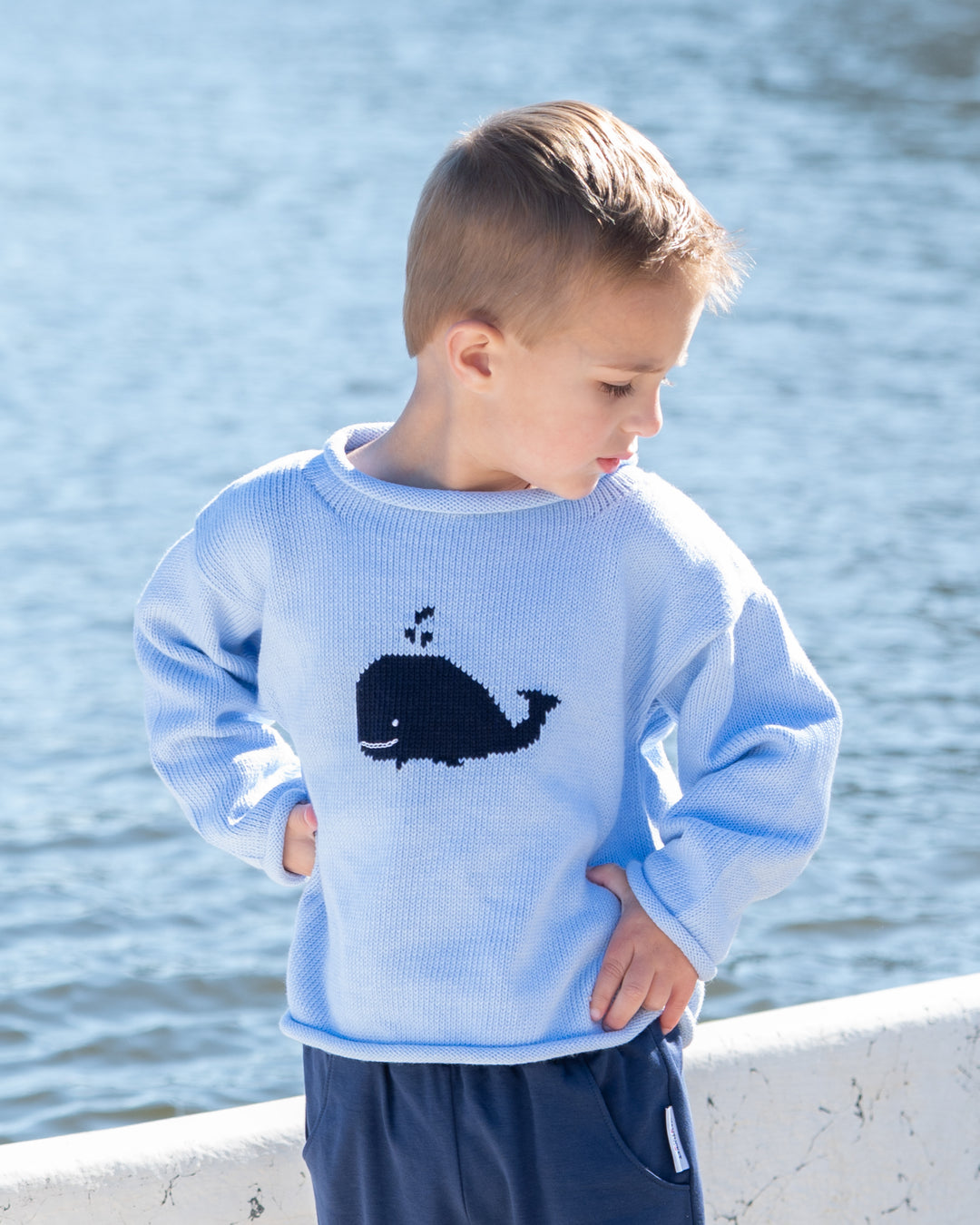 Whale Watch Roll Neck Sweater-Blue