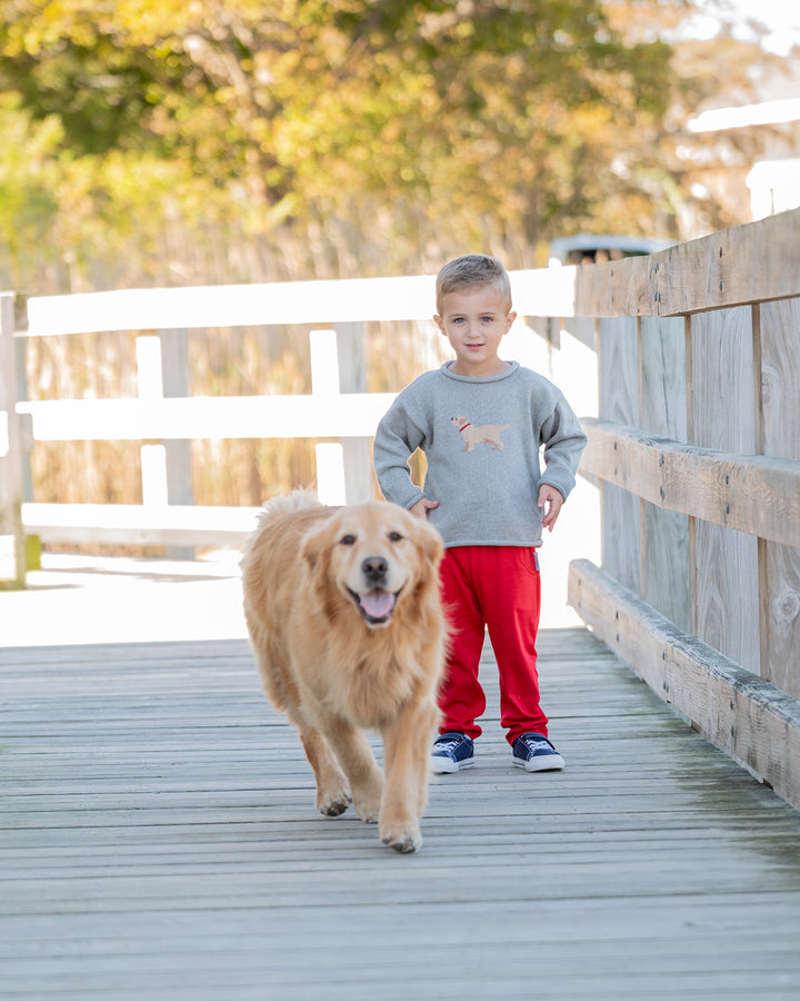 Tuck The Retriever Roll Neck Sweater-Grey
