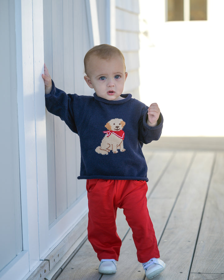 Tuck The Retriever Roll Neck Sweater-Navy