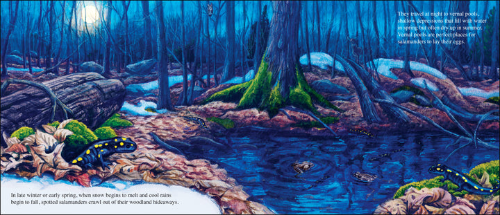 Salamander Dance-Signed Copy (Copy)