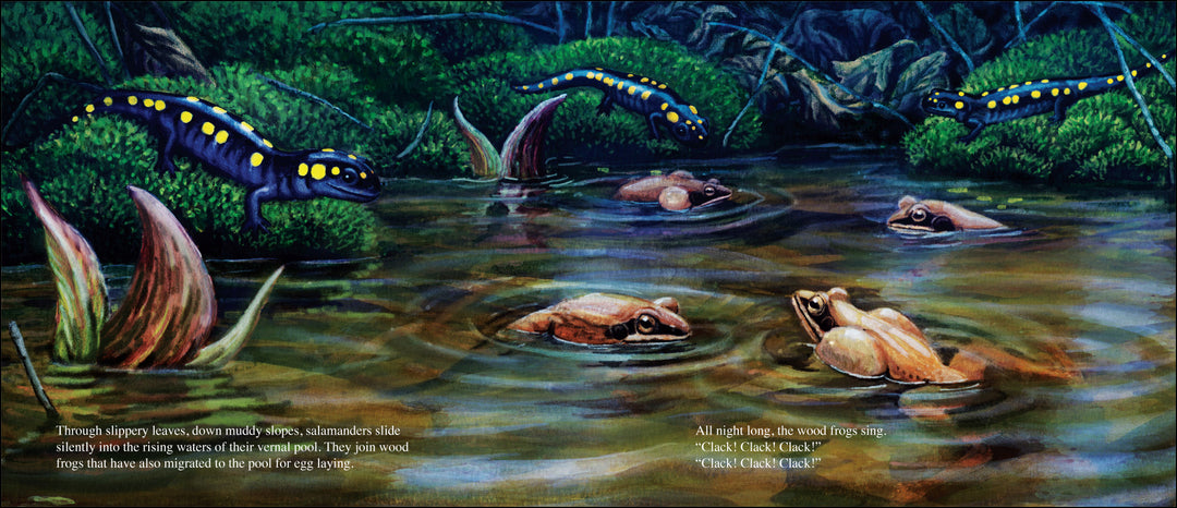 Salamander Dance-Signed Copy (Copy)