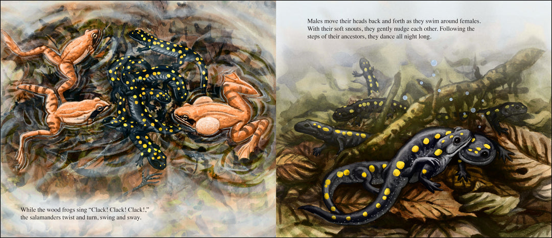 Salamander Dance-Signed Copy (Copy)