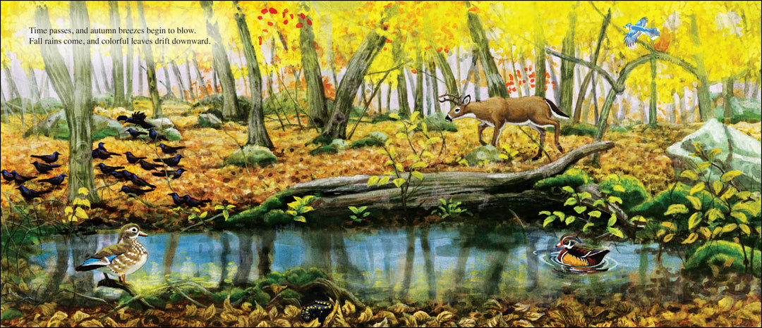 Salamander Dance-Signed Copy (Copy)